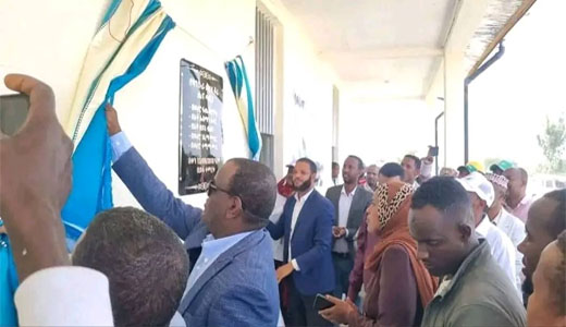 የፕሮጀክት ሥራ